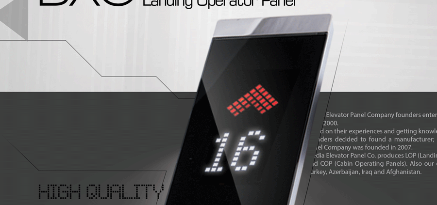 شستی آسانسور BXG